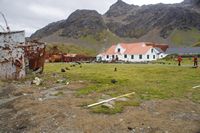 
DSC00060